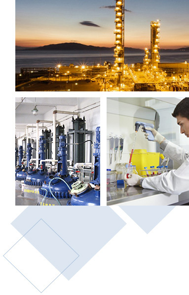 浙江和平新材料股份有限公司